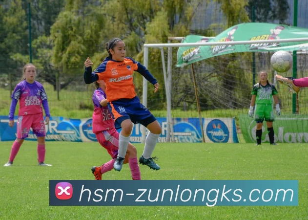 多媒体互动体验